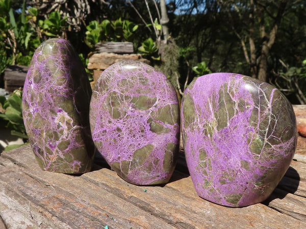 Polished Stichtite & Serpentine Standing Free Forms With Silky Purple Threads  x 3 From Barberton, South Africa