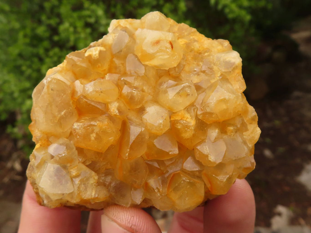 Natural Limonite Quartz Clusters x 12 From Solwezi, Zambia - Toprock Gemstones and Minerals 