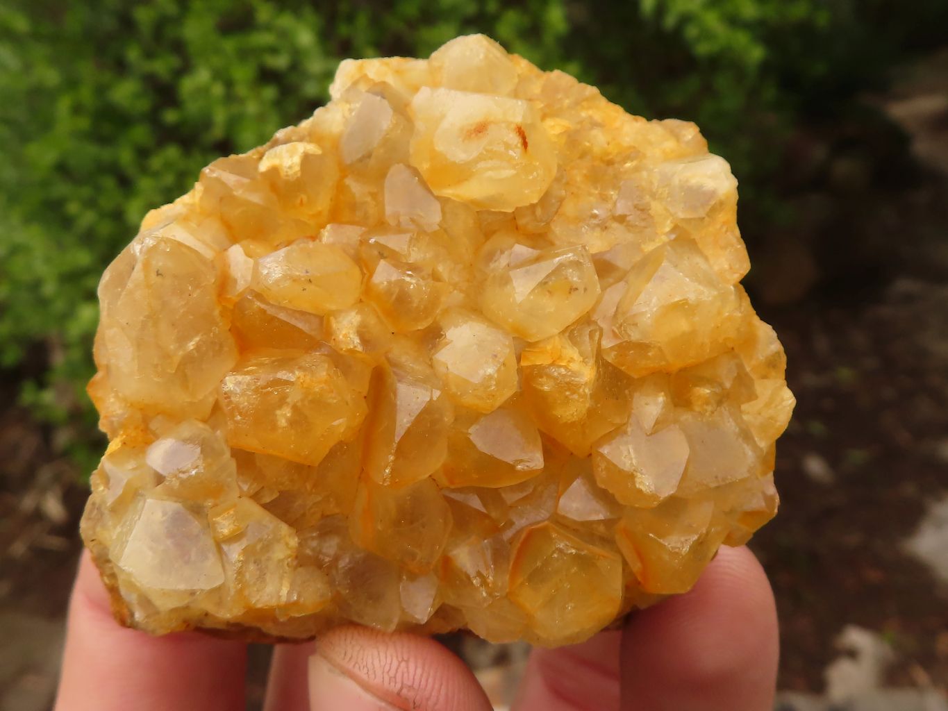 Natural Limonite Quartz Clusters x 12 From Solwezi, Zambia - Toprock Gemstones and Minerals 