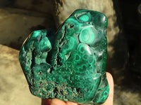 Polished Malachite Free Forms x 3 From Kolwezi, Congo - Toprock Gemstones and Minerals 