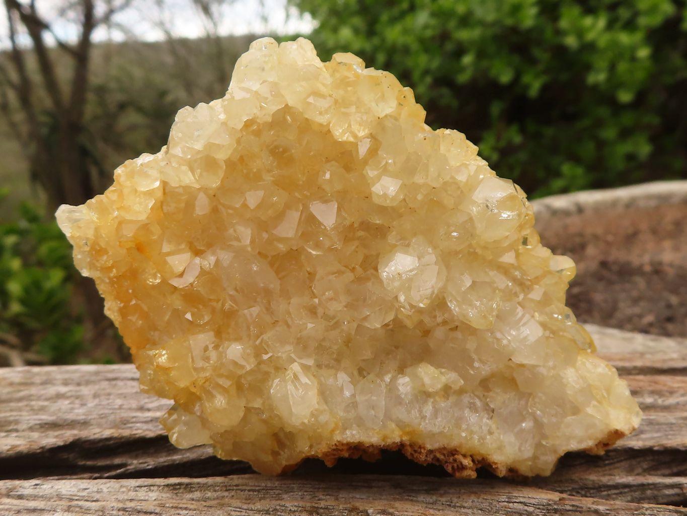 Natural Limonite Quartz Clusters x 12 From Solwezi, Zambia - Toprock Gemstones and Minerals 