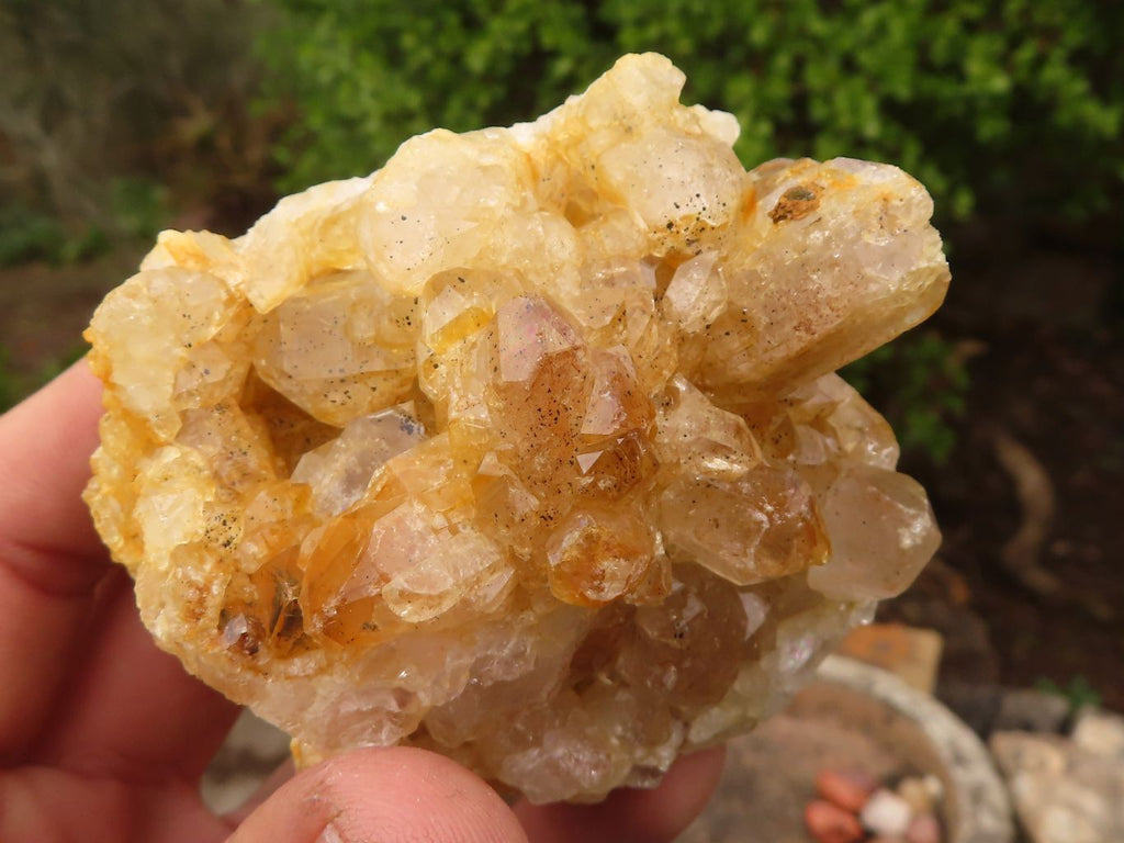 Natural Limonite Quartz Clusters x 12 From Solwezi, Zambia - Toprock Gemstones and Minerals 