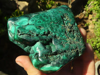 Polished Malachite Free Forms x 3 From Kolwezi, Congo - Toprock Gemstones and Minerals 