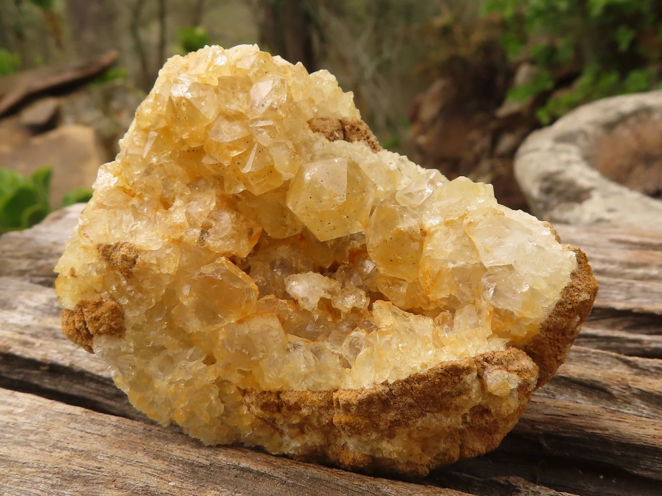 Natural Limonite Quartz Clusters x 12 From Solwezi, Zambia - Toprock Gemstones and Minerals 