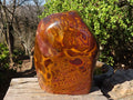 Polished Large Golden Tigers Eye Display Piece x 1 From Prieska,  South Africa - Toprock Gemstones and Minerals 