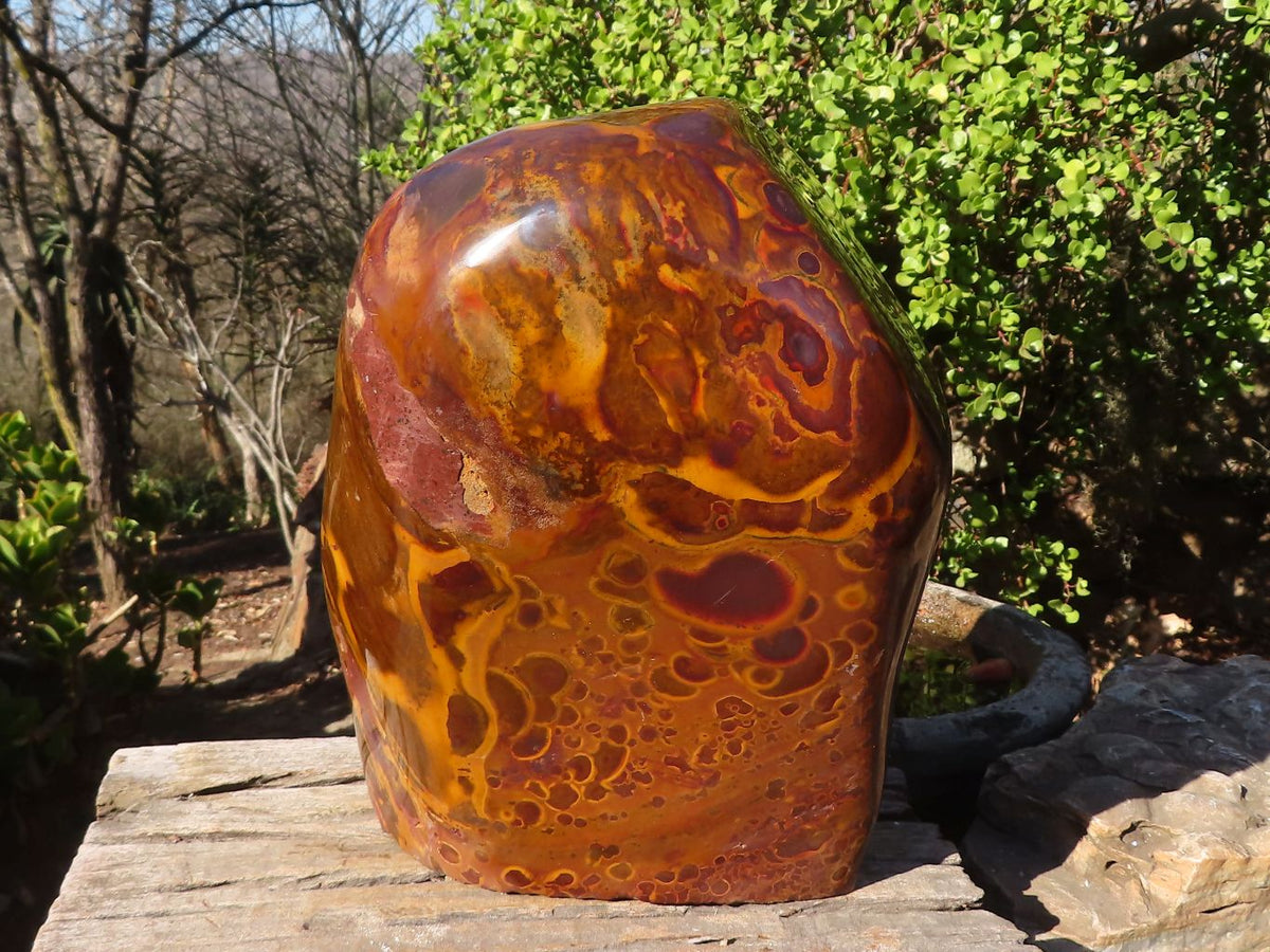 Polished Large Golden Tigers Eye Display Piece x 1 From Prieska,  South Africa - Toprock Gemstones and Minerals 