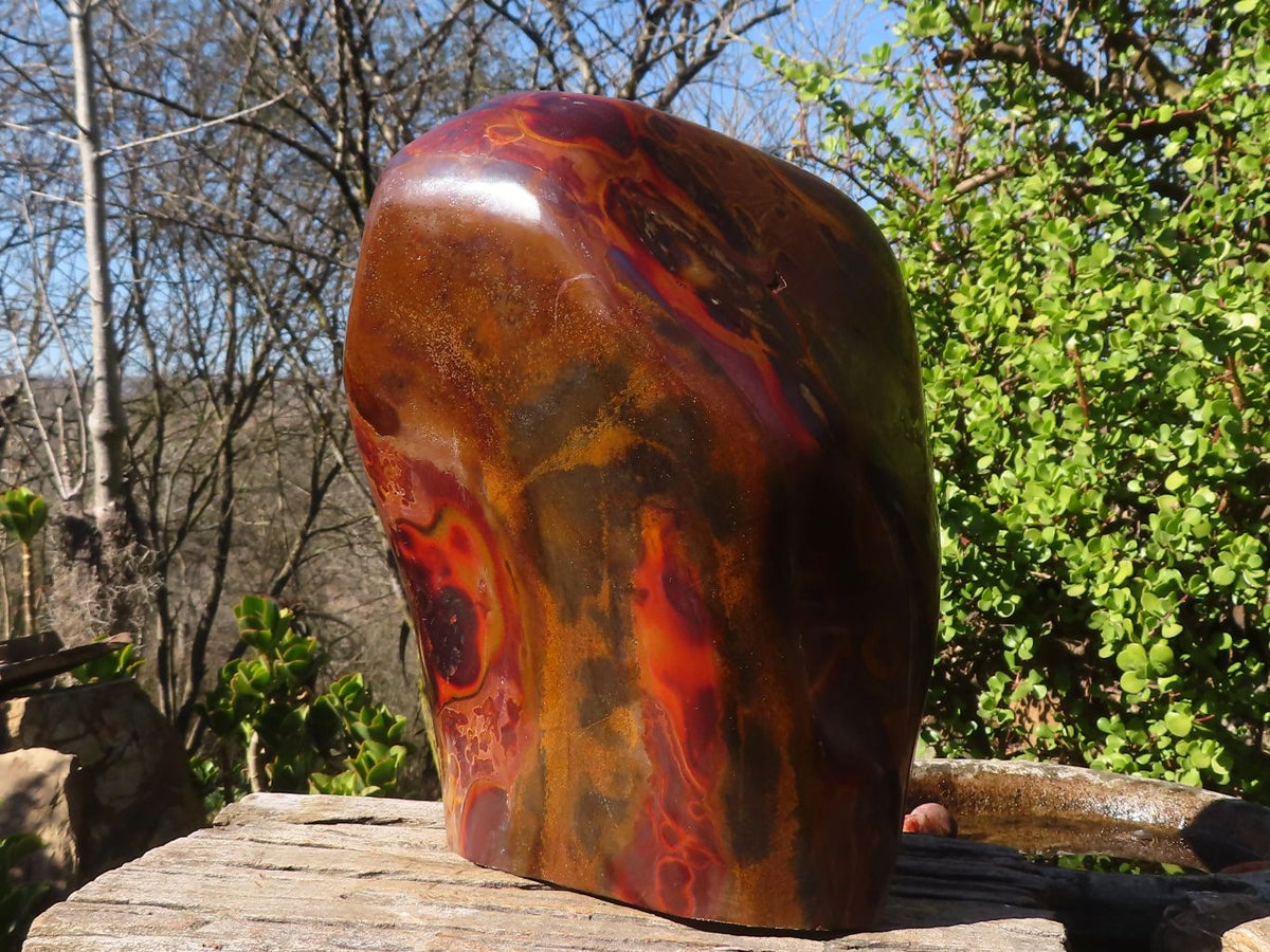 Polished Large Golden Tigers Eye Display Piece x 1 From Prieska,  South Africa - Toprock Gemstones and Minerals 