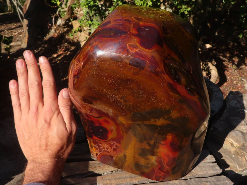 Polished Large Golden Tigers Eye Display Piece x 1 From Prieska,  South Africa - Toprock Gemstones and Minerals 