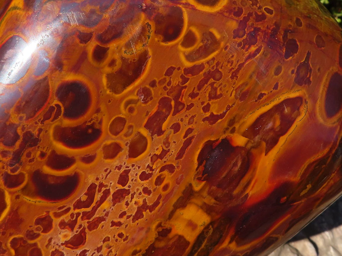 Polished Large Golden Tigers Eye Display Piece x 1 From Prieska,  South Africa - Toprock Gemstones and Minerals 