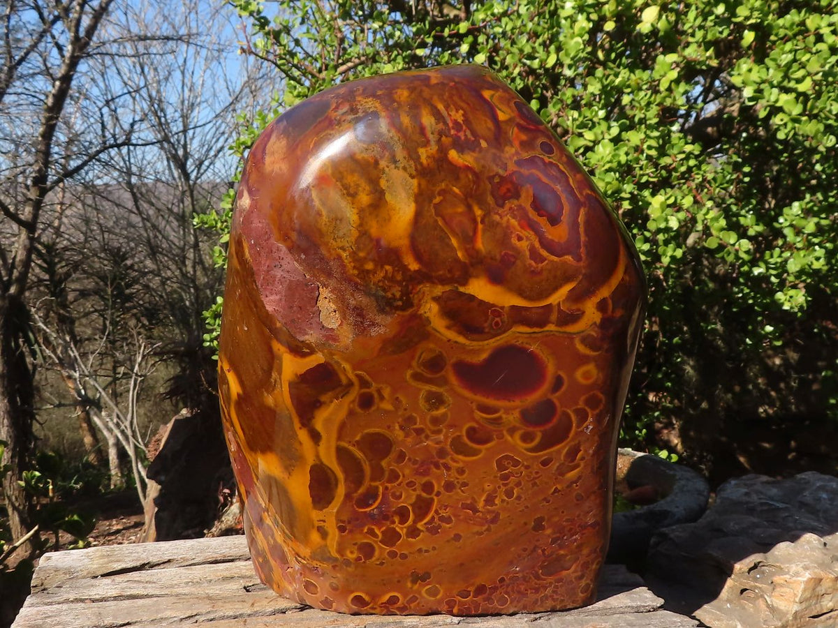 Polished Large Golden Tigers Eye Display Piece x 1 From Prieska,  South Africa - Toprock Gemstones and Minerals 