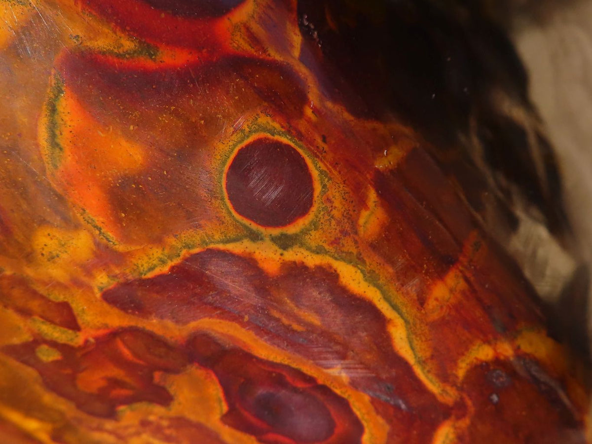 Polished Large Golden Tigers Eye Display Piece x 1 From Prieska,  South Africa - Toprock Gemstones and Minerals 