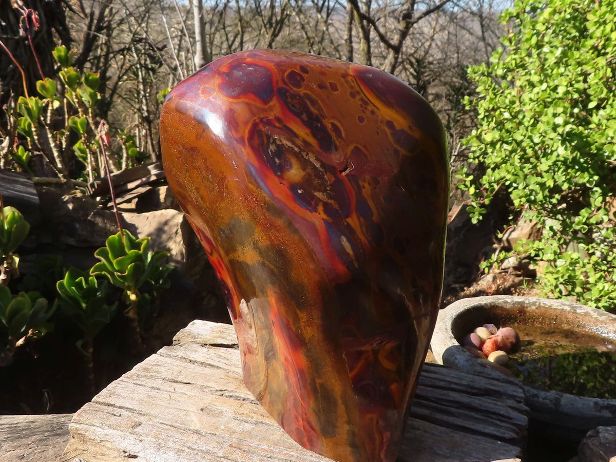 Polished Large Golden Tigers Eye Display Piece x 1 From Prieska,  South Africa - Toprock Gemstones and Minerals 