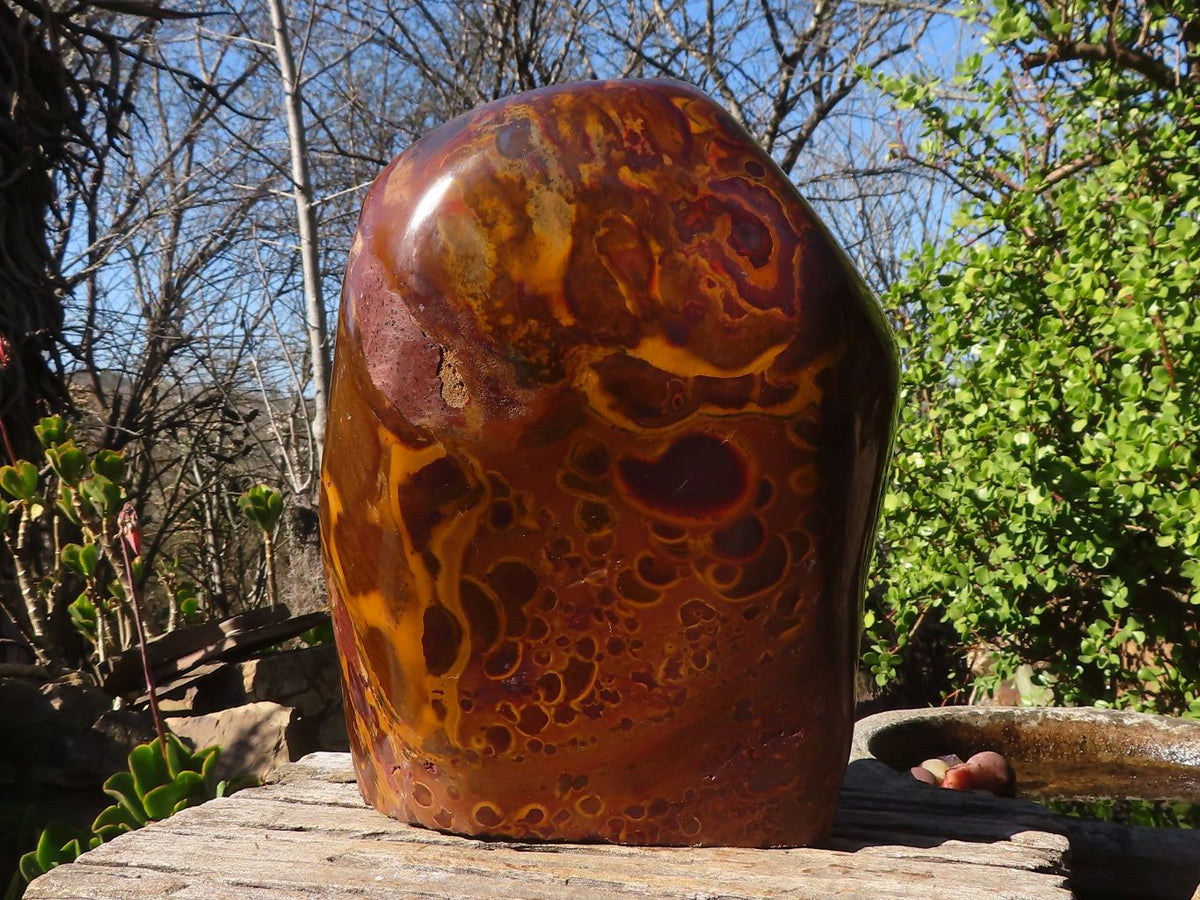 Polished Large Golden Tigers Eye Display Piece x 1 From Prieska,  South Africa - Toprock Gemstones and Minerals 