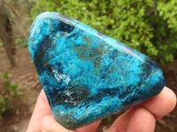 Polished Blue Shattuckite Free Forms  x 6 From Kaokoveld, Namibia - Toprock Gemstones and Minerals 