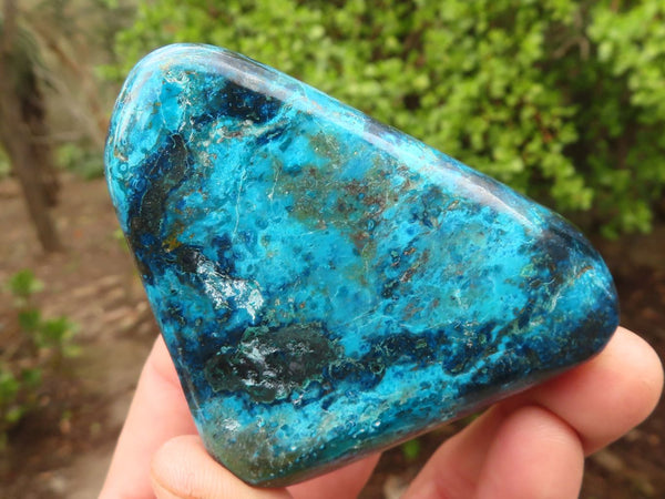 Polished Blue Shattuckite Free Forms  x 6 From Kaokoveld, Namibia - Toprock Gemstones and Minerals 