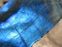 Polished Mixed Selection Of Retail Items  x 6 From Southern Africa - TopRock