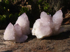 Natural Pale Lilac Spirit Quartz Clusters x 12 From Boekenhouthoek, South Africa - Toprock Gemstones and Minerals 