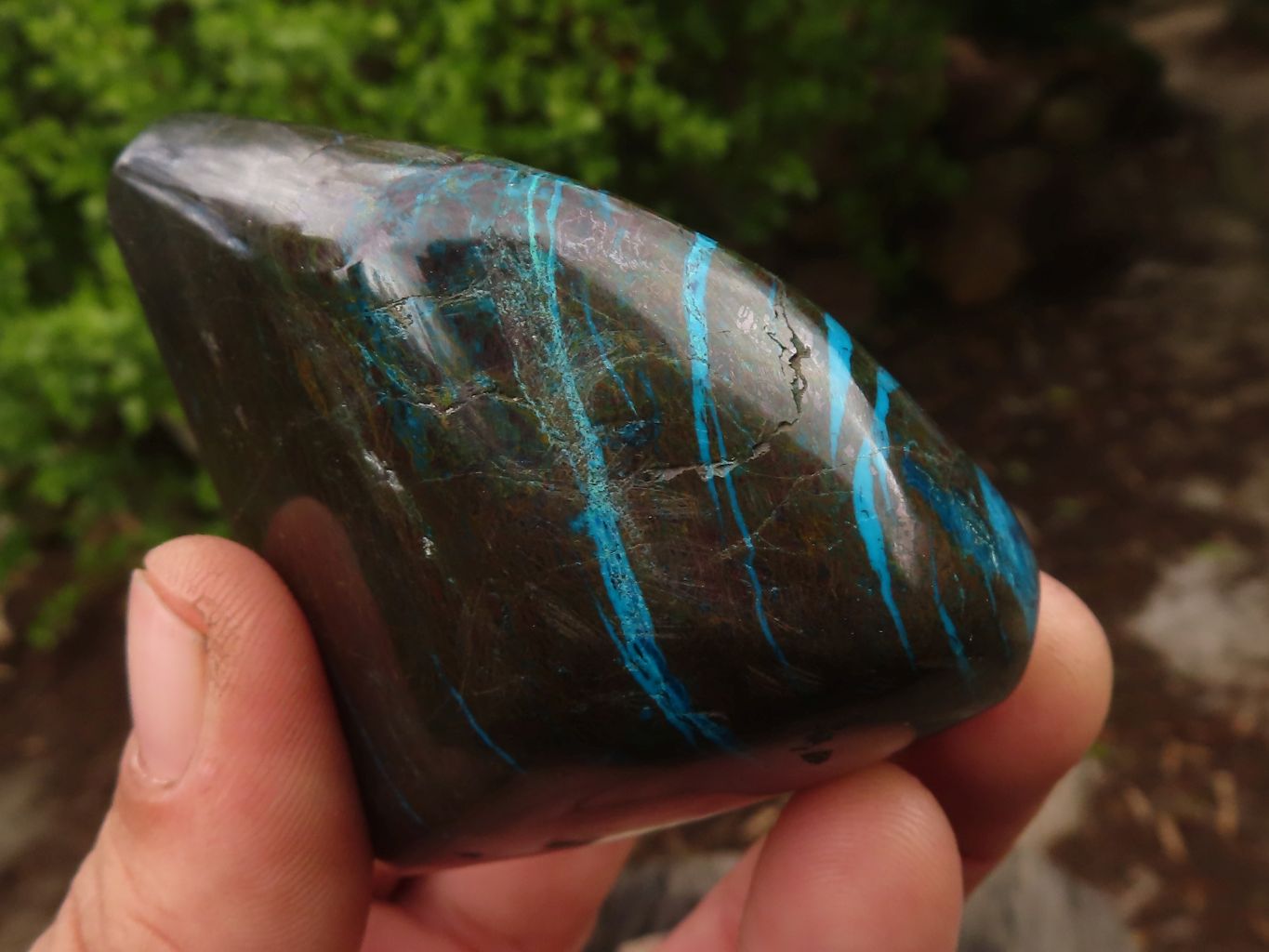 Polished Blue Shattuckite Free Forms  x 6 From Kaokoveld, Namibia - Toprock Gemstones and Minerals 