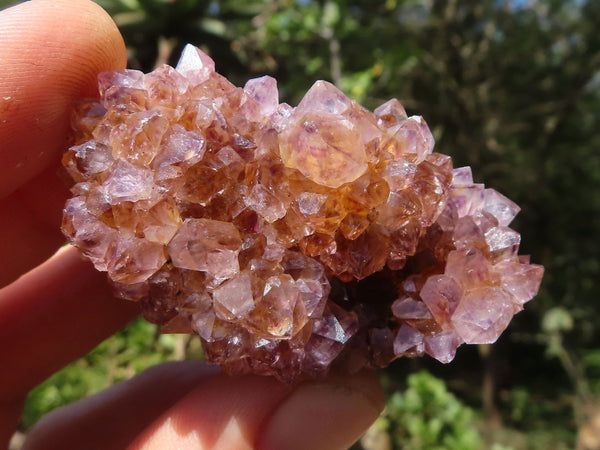 Natural Small Mixed Spirit Quartz Clusters  x 24 From Boekenhouthoek, South Africa - TopRock