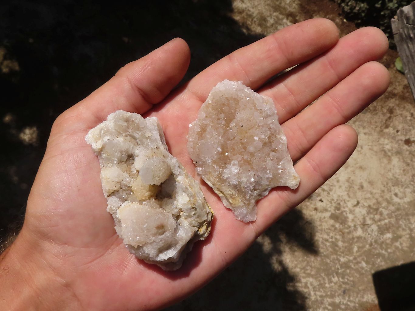 Natural Small Mixed Spirit Quartz Clusters  x 24 From Boekenhouthoek, South Africa - TopRock