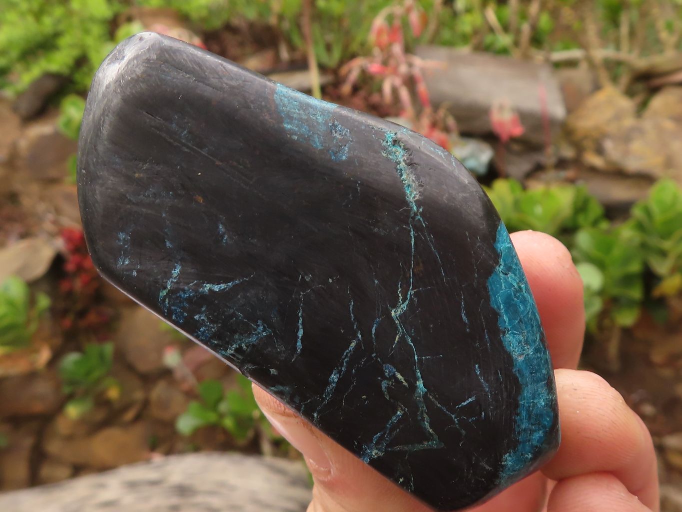 Polished Blue Shattuckite Free Forms  x 6 From Kaokoveld, Namibia - Toprock Gemstones and Minerals 