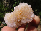 Natural Small Mixed Spirit Quartz Clusters  x 24 From Boekenhouthoek, South Africa - TopRock