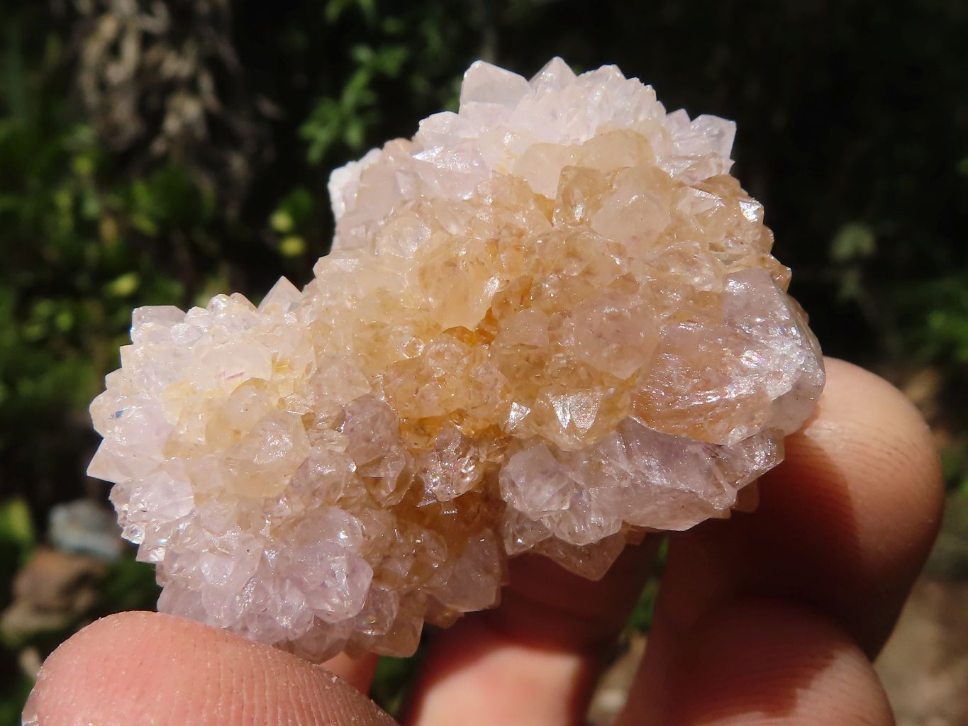 Natural Small Mixed Spirit Quartz Clusters  x 24 From Boekenhouthoek, South Africa - TopRock