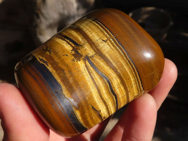 Polished Golden Tigers Eye Free Forms x 6 From Prieska, Northern Cape