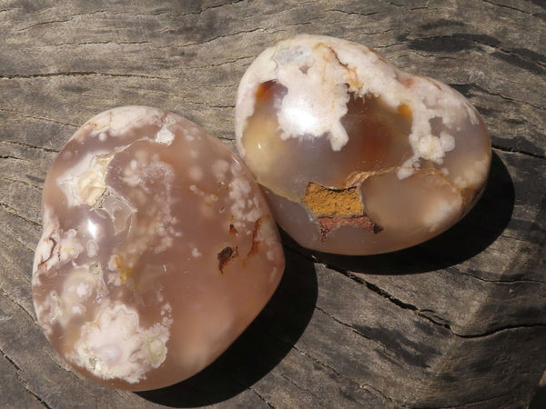 Polished Stunning Coral Flower Agate Hearts  x 7 From Madagascar - TopRock