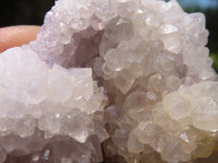 Natural Small Mixed Spirit Quartz Clusters  x 24 From Boekenhouthoek, South Africa - TopRock
