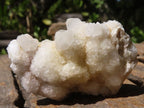 Natural Small Mixed Spirit Quartz Clusters  x 24 From Boekenhouthoek, South Africa - TopRock