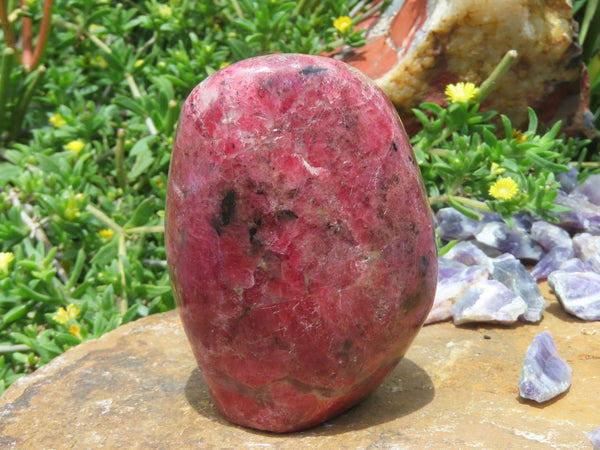 Polished NEW Rich Pink Rhodonite Display Free Forms x 3 From Zimbabwe - TopRock