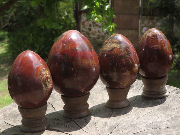 Polished Petrified Red Podocarpus Wood Eggs & Stands  x 4 From Mahajanga, Madagascar - TopRock