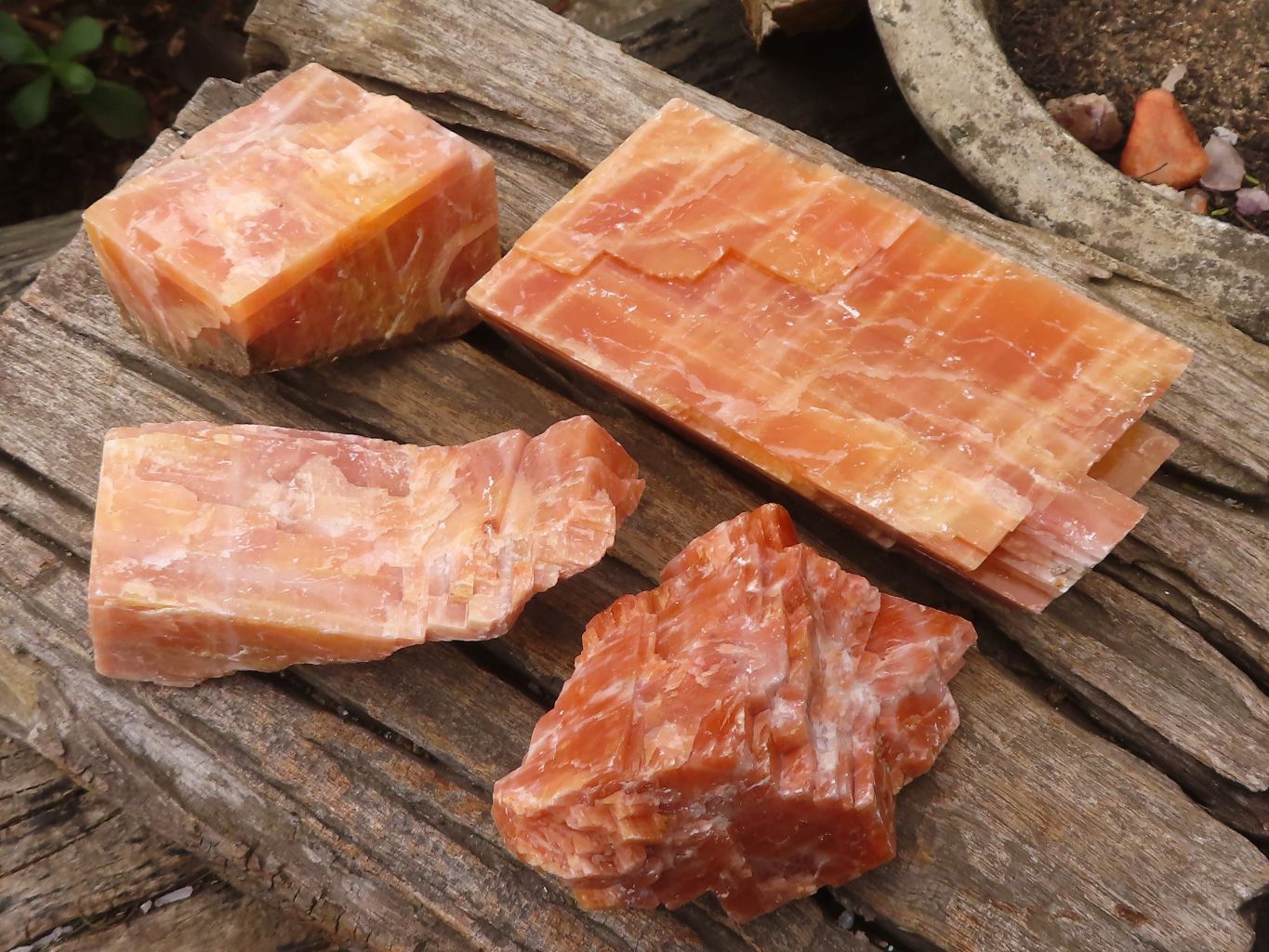 Natural New Sunset Orange Calcite Specimens  x 4 From Spitzkop, Namibia - Toprock Gemstones and Minerals 