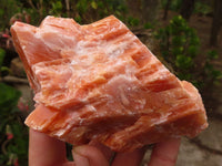 Natural New Sunset Orange Calcite Specimens  x 4 From Spitzkop, Namibia - Toprock Gemstones and Minerals 