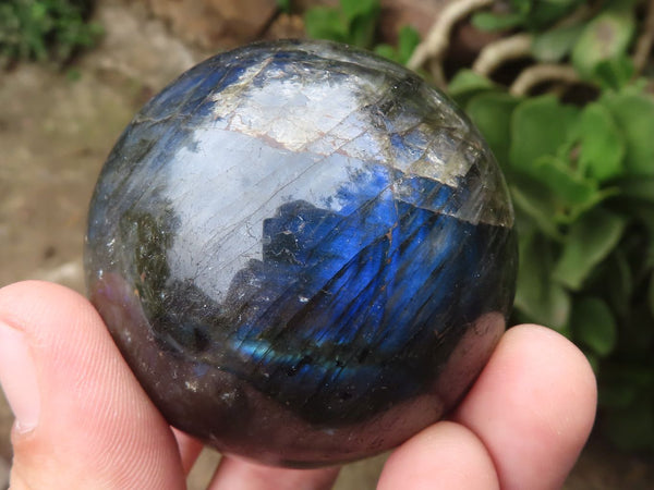 Polished Labradorite Spheres With Subtle Flash x 6 From Tulear, Madagascar - TopRock