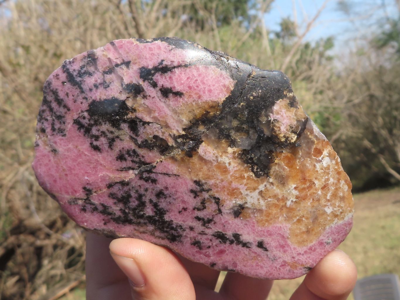 Polished One Sided Pink Rhodonite Free Forms  x 5 From Madagascar - TopRock