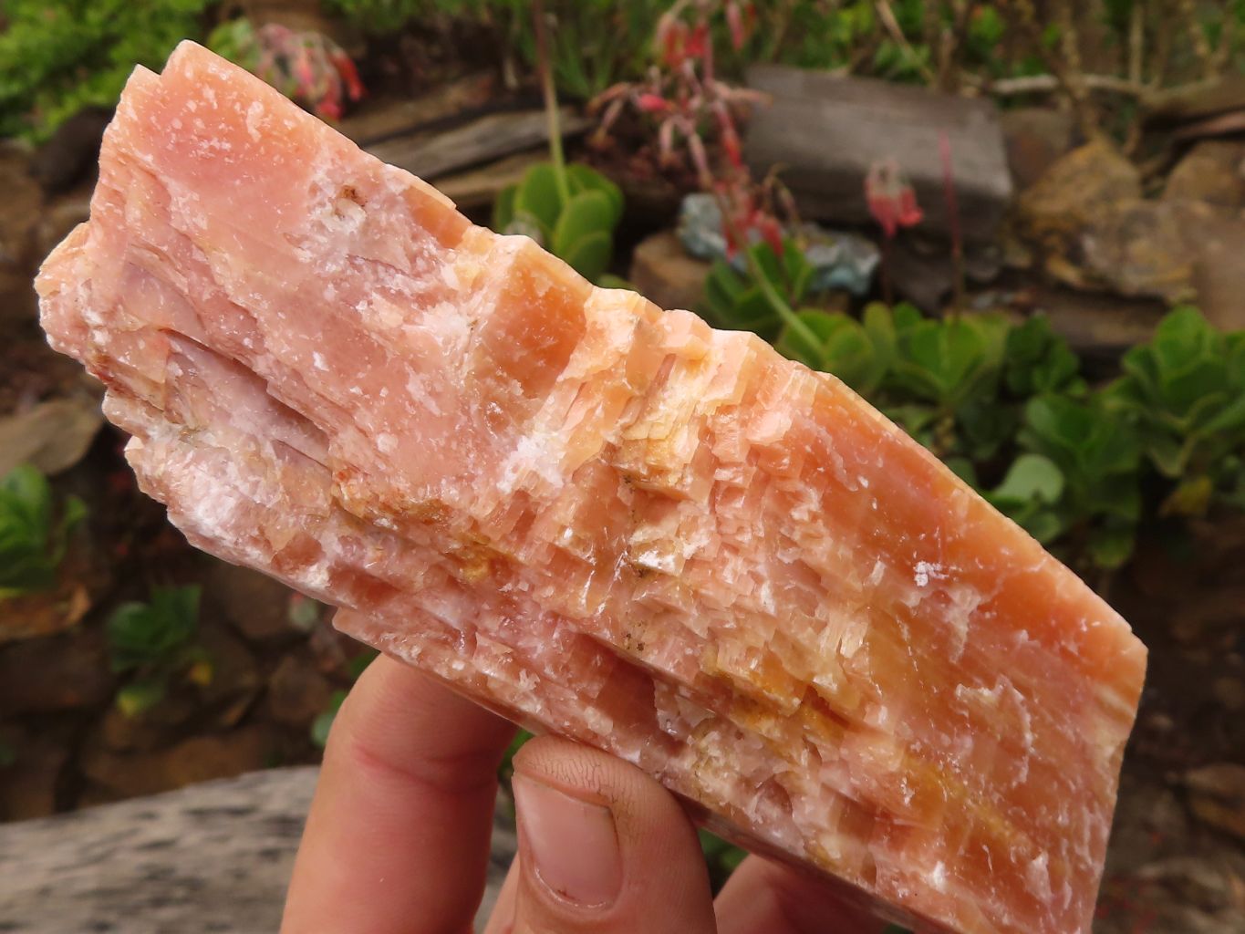Natural New Sunset Orange Calcite Specimens  x 4 From Spitzkop, Namibia - Toprock Gemstones and Minerals 