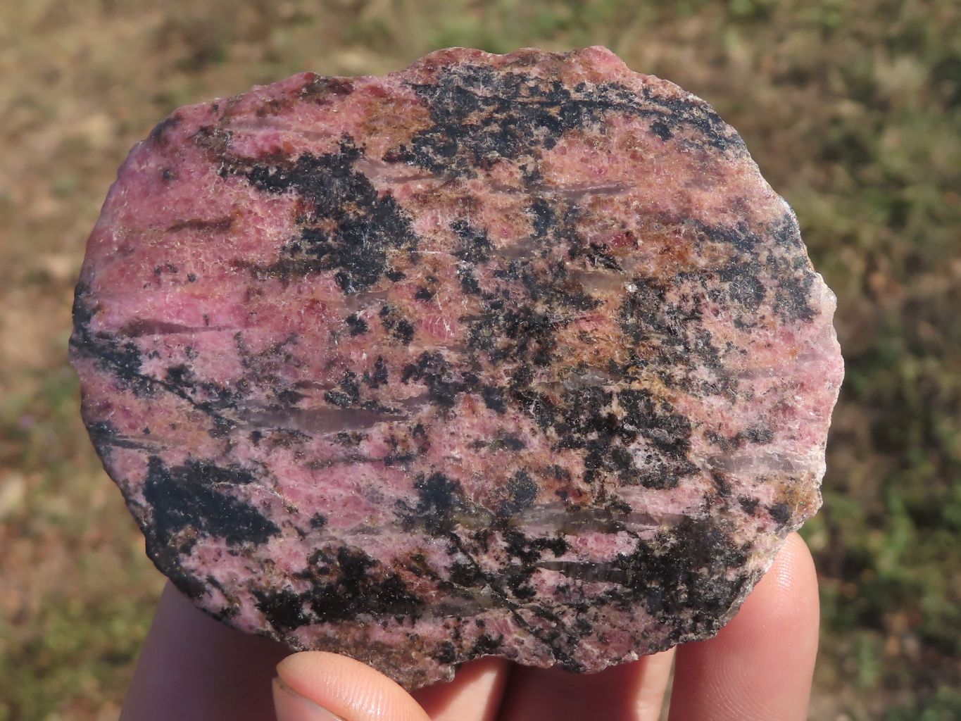 Polished One Sided Pink Rhodonite Free Forms  x 5 From Madagascar - TopRock