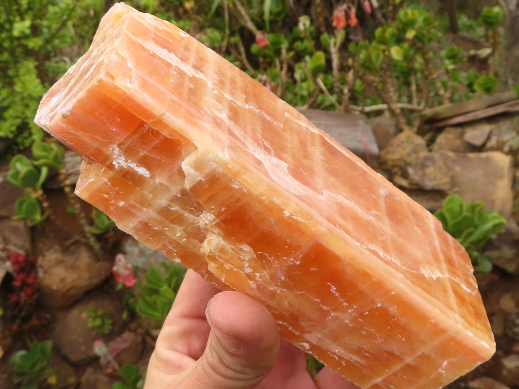 Natural New Sunset Orange Calcite Specimens  x 4 From Spitzkop, Namibia - Toprock Gemstones and Minerals 