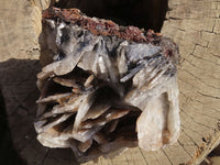 Natural Large Bladed Baryte Specimen  x 1 From Congo - Toprock Gemstones and Minerals 