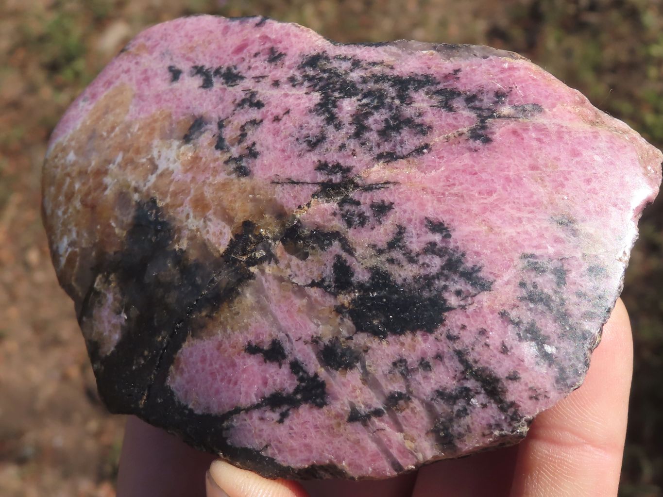Polished One Sided Pink Rhodonite Free Forms  x 5 From Madagascar - TopRock