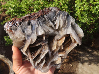 Natural Large Bladed Baryte Specimen  x 1 From Congo - Toprock Gemstones and Minerals 