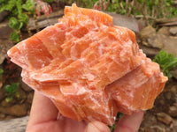 Natural New Sunset Orange Calcite Specimens  x 4 From Spitzkop, Namibia - Toprock Gemstones and Minerals 
