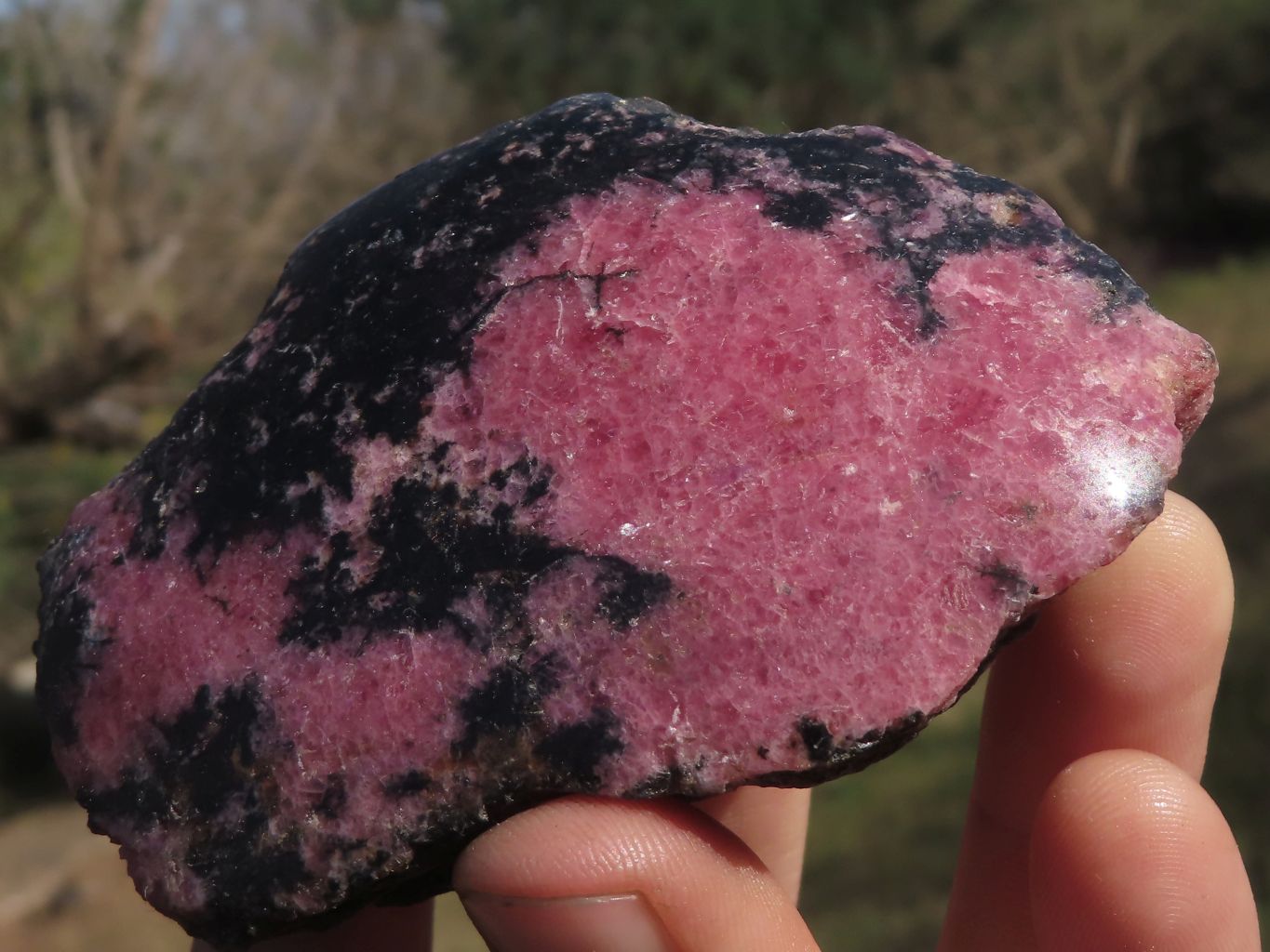 Polished One Sided Pink Rhodonite Free Forms  x 5 From Madagascar - TopRock