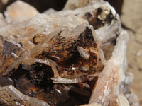 Natural Large Bladed Baryte Specimen  x 1 From Congo - Toprock Gemstones and Minerals 