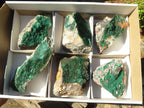 Natural Micro Botryoidal Crystalline Malachite Specimens  x 6 From Congo - Toprock Gemstones and Minerals 