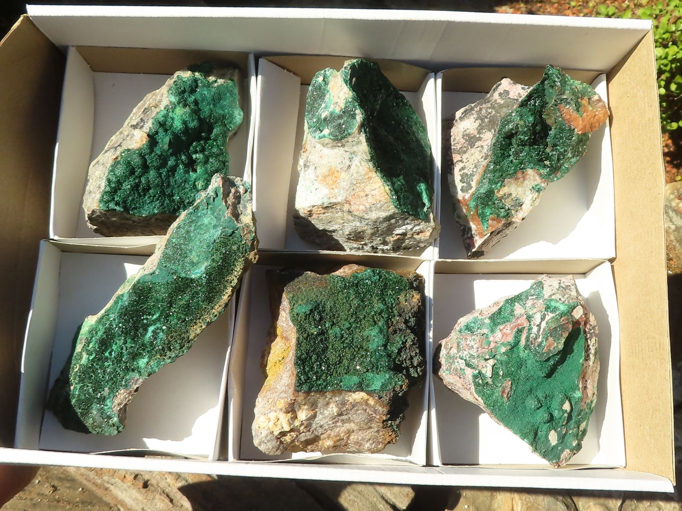 Natural Micro Botryoidal Crystalline Malachite Specimens  x 6 From Congo - Toprock Gemstones and Minerals 