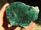 Natural Micro Botryoidal Crystalline Malachite Specimens  x 6 From Congo - Toprock Gemstones and Minerals 