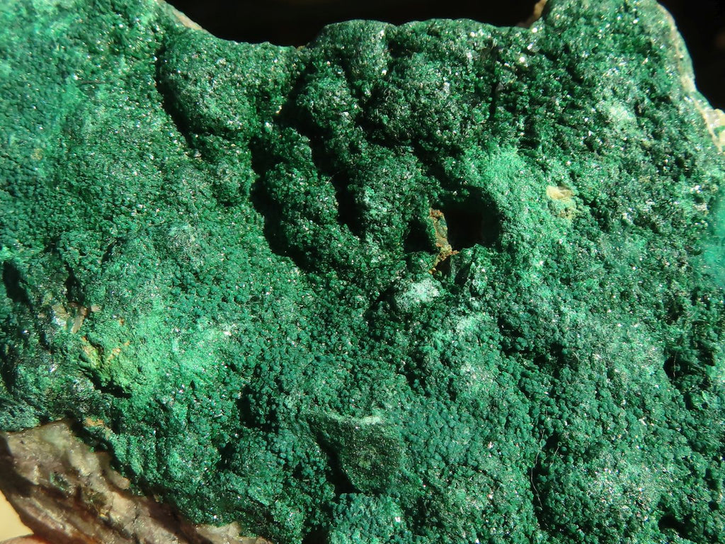 Natural Micro Botryoidal Crystalline Malachite Specimens  x 6 From Congo - Toprock Gemstones and Minerals 